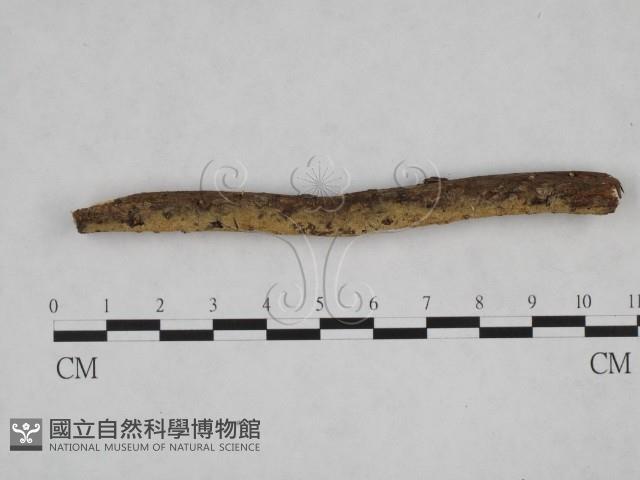 登錄號:F0024836藏品圖，第1張
