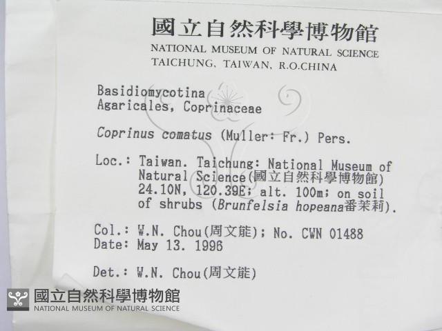 登錄號:F0004836藏品圖，第3張