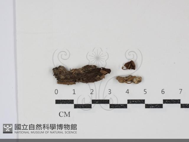 登錄號:F0034836藏品圖，第1張