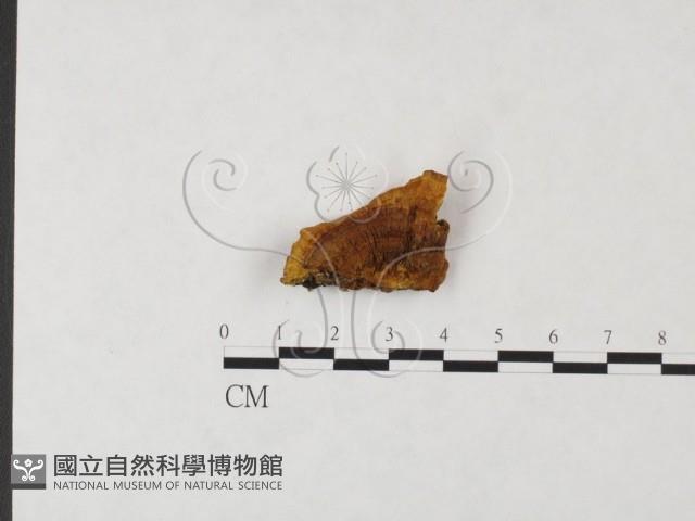館號:F0019836藏品圖，第1張