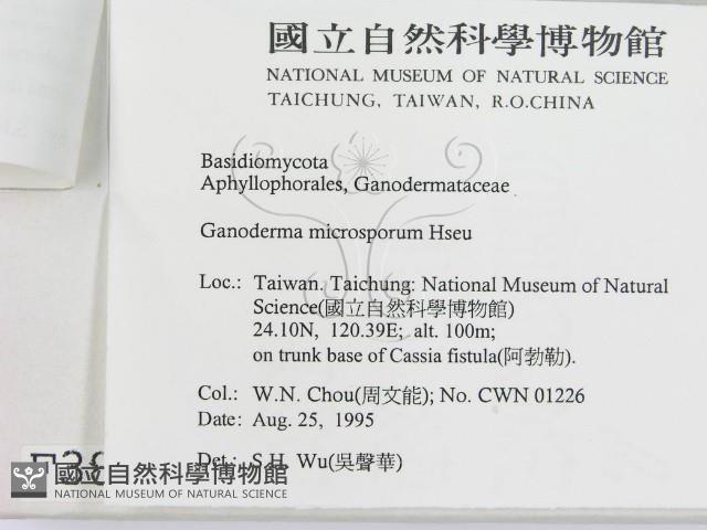 登錄號:F0003836藏品圖，第3張