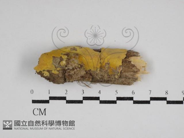 登錄號:F0030936藏品圖，第1張