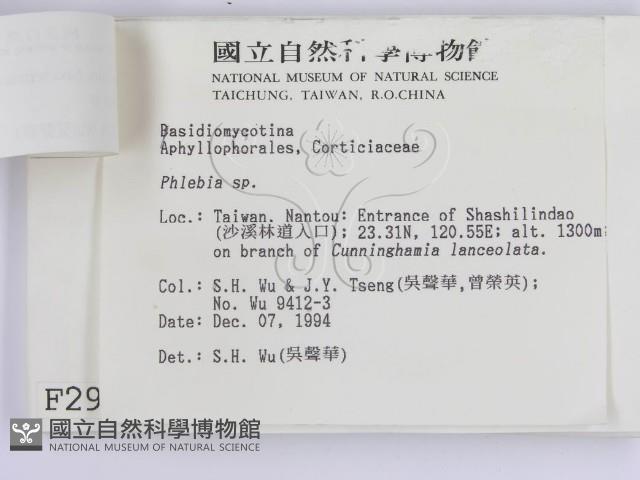 登錄號:F0002936藏品圖，第3張