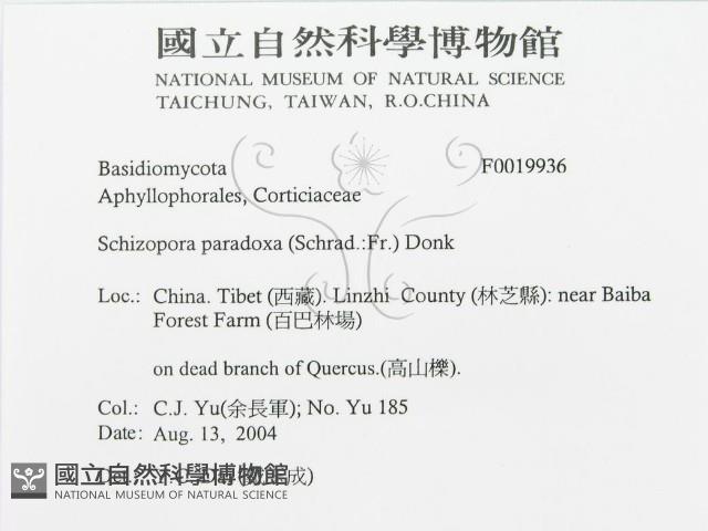 登錄號:F0019936藏品圖，第3張