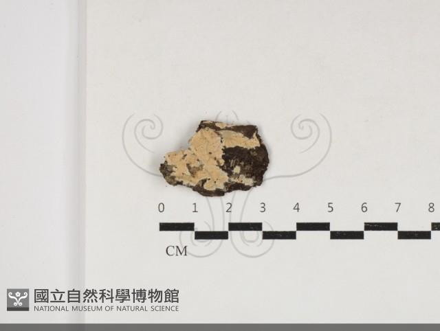 登錄號:F0033936藏品圖，第1張