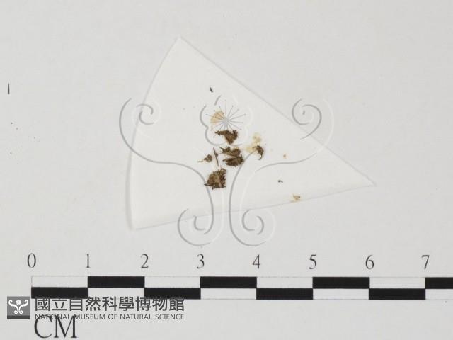 登錄號:F0020636藏品圖，第1張