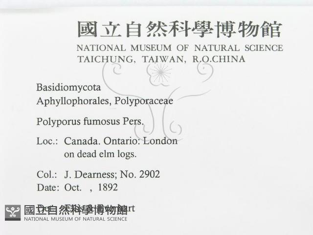 登錄號:F0011636藏品圖，第3張