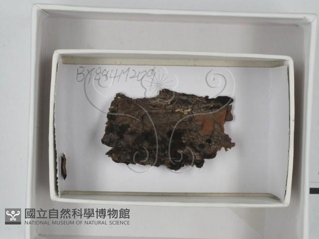 登錄號:F0018436藏品圖，第1張