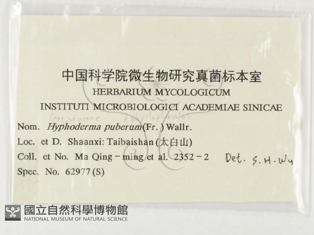 登錄號:F0000436藏品圖，第3張