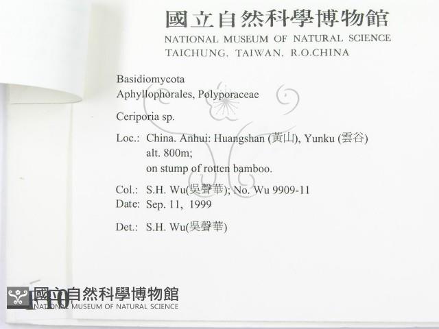 登錄號:F0010436藏品圖，第3張