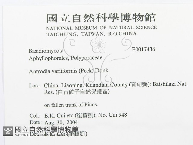 登錄號:F0017436藏品圖，第3張