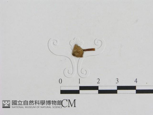 Accession Number:F0010736 Collection Image, Figure 1, Total 2 Figures