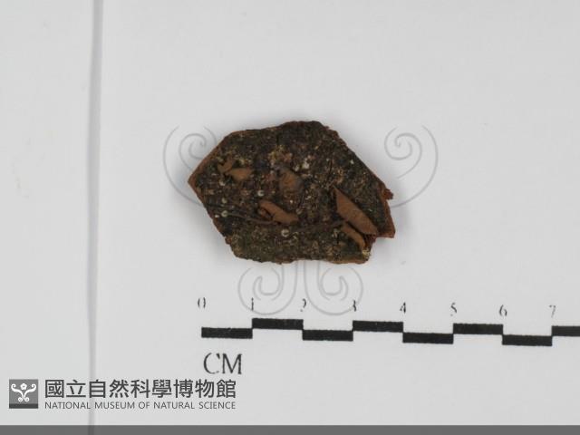 登錄號:F0031736藏品圖，第1張