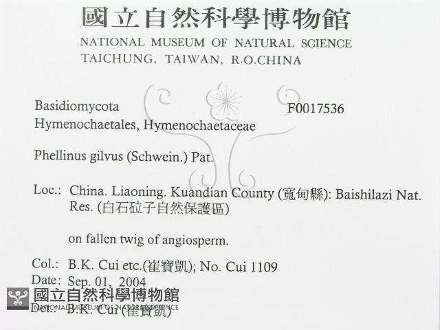 登錄號:F0017536藏品圖，第3張