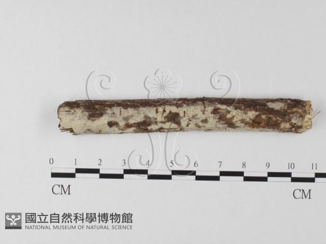 登錄號:F0020136藏品圖，第1張
