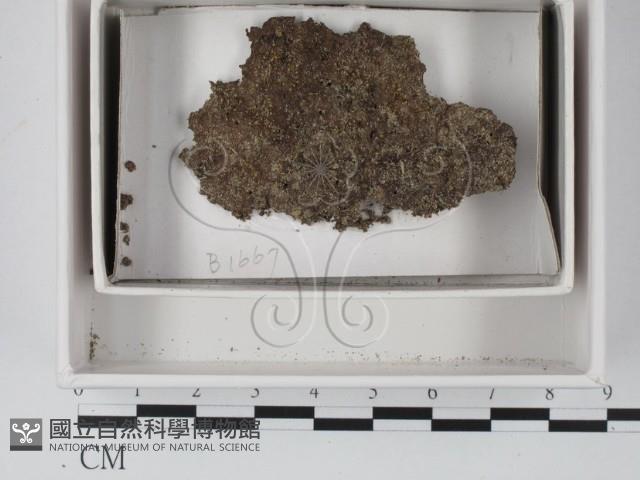 登錄號:F0021136藏品圖，第1張