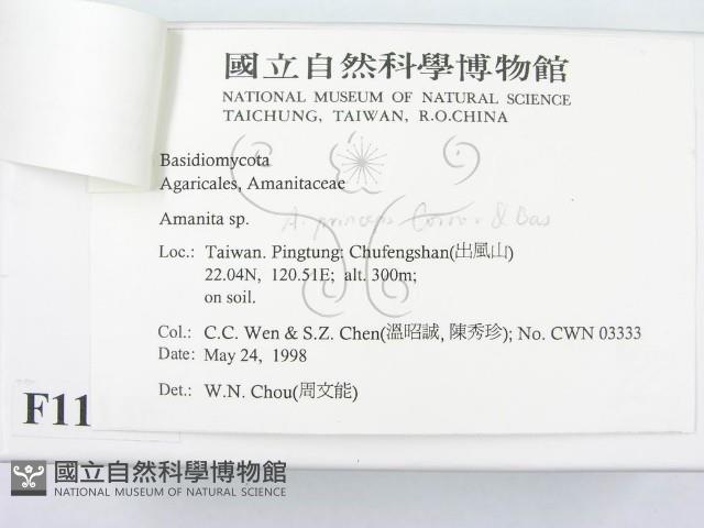 登錄號:F0011136藏品圖，第3張