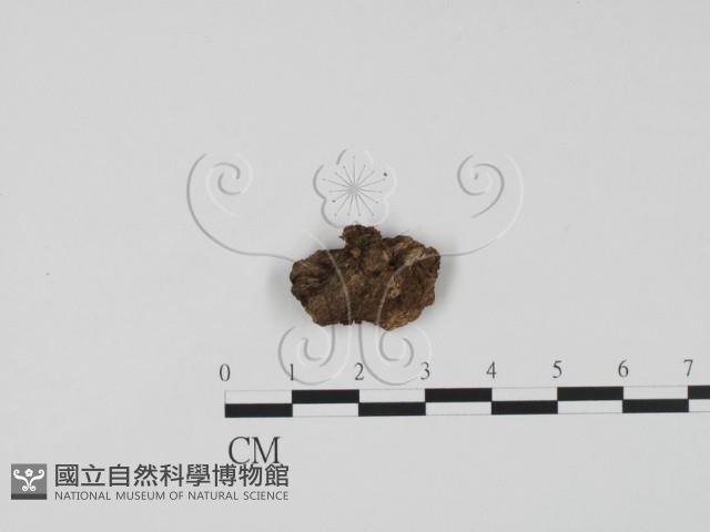 登錄號:F0021036藏品圖，第1張