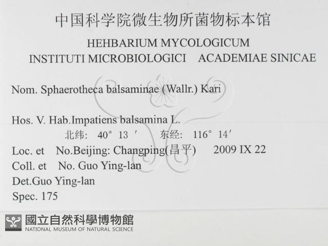 登錄號:F0026336藏品圖，第3張