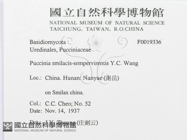 登錄號:F0019336藏品圖，第3張
