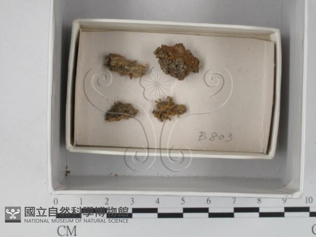 登錄號:F0018276藏品圖，第1張