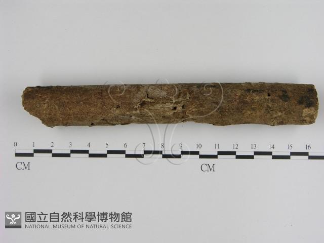 登錄號:F0000276藏品圖，第1張