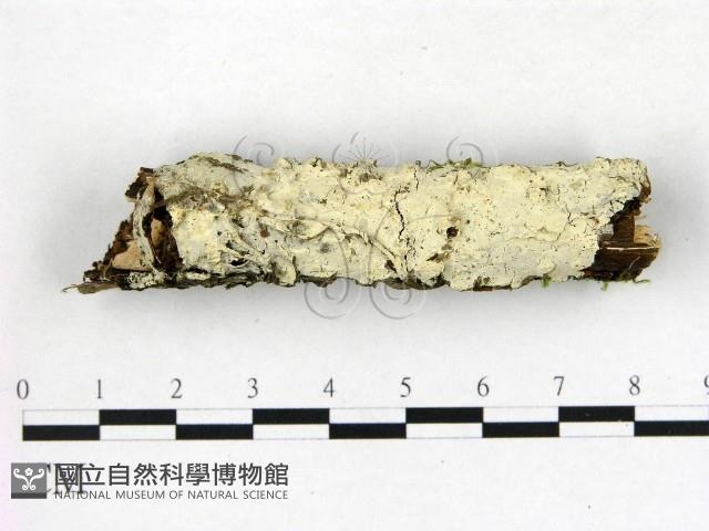 登錄號:F0015276藏品圖，第1張