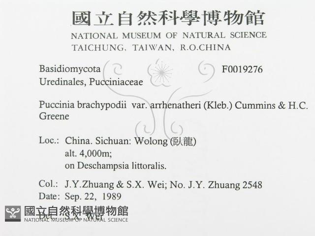 登錄號:F0019276藏品圖，第3張