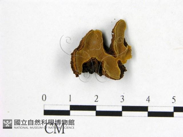 登錄號:F0008876藏品圖，第1張