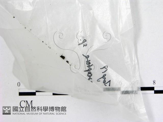 登錄號:F0016876藏品圖，第1張
