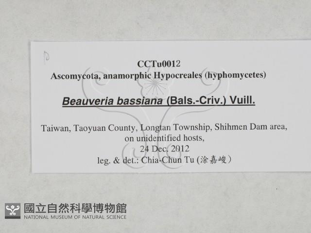 登錄號:F0027876藏品圖，第3張