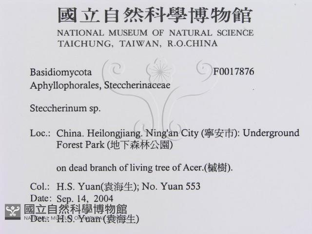 登錄號:F0017876藏品圖，第3張