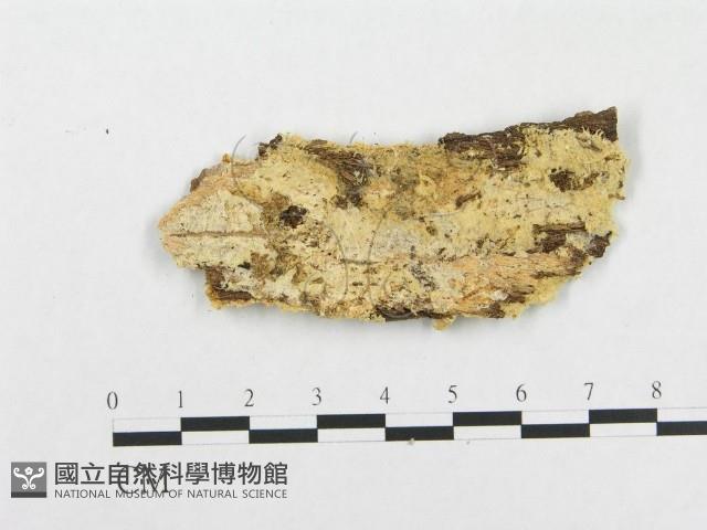 登錄號:F0000976藏品圖，第1張