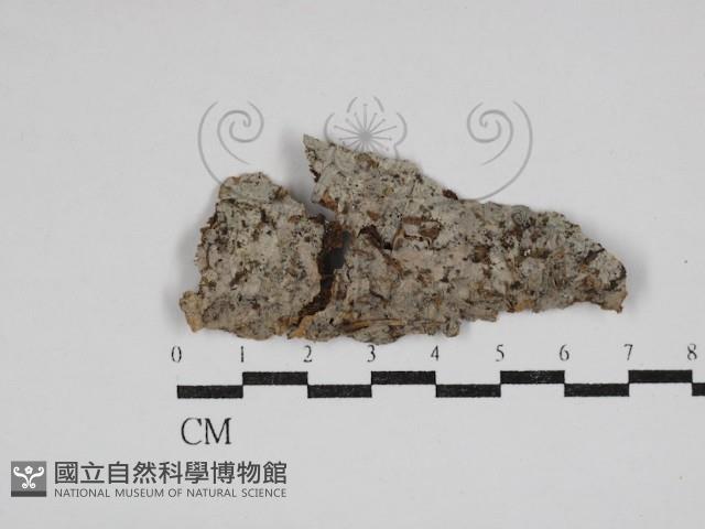 登錄號:F0030976藏品圖，第1張