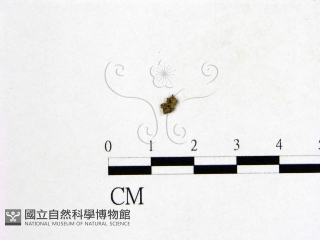 登錄號:F0007976藏品圖，第1張