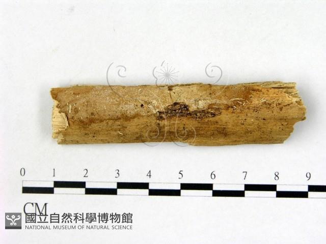 登錄號:F0008676藏品圖，第1張