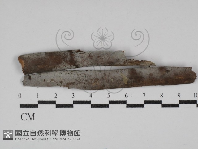 登錄號:F0030676藏品圖，第1張