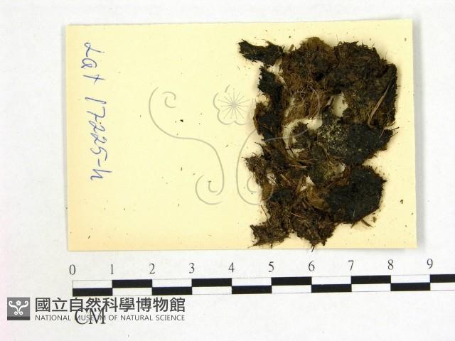 登錄號:F0004676藏品圖，第1張