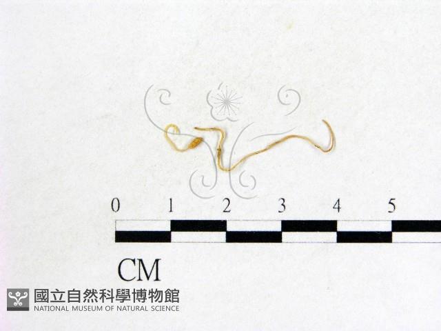 登錄號:F0007676藏品圖，第1張