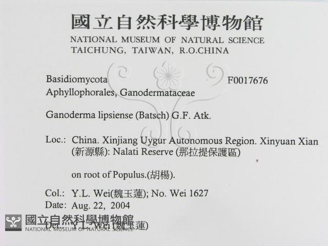 登錄號:F0017676藏品圖，第3張