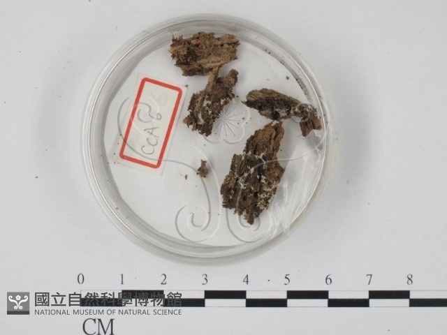 登錄號:F0003676藏品圖，第1張
