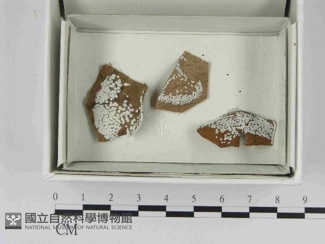 登錄號:F0021476藏品圖，第1張