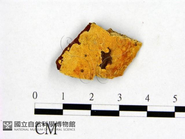登錄號:F0017476藏品圖，第1張