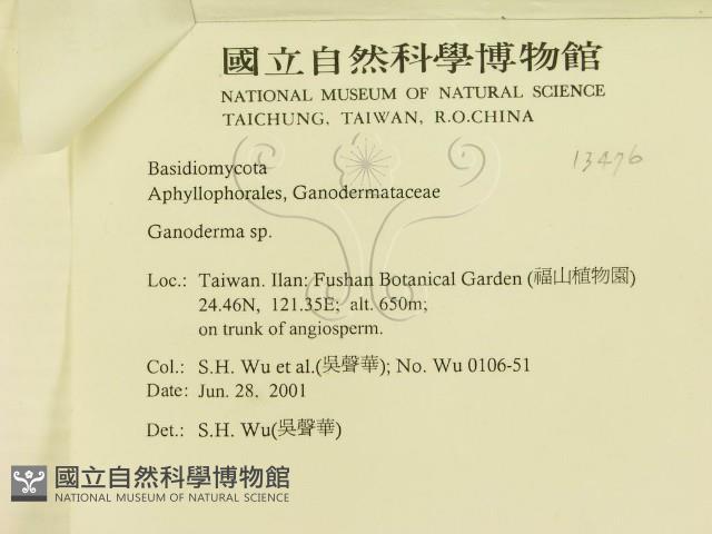 登錄號:F0013476藏品圖，第3張