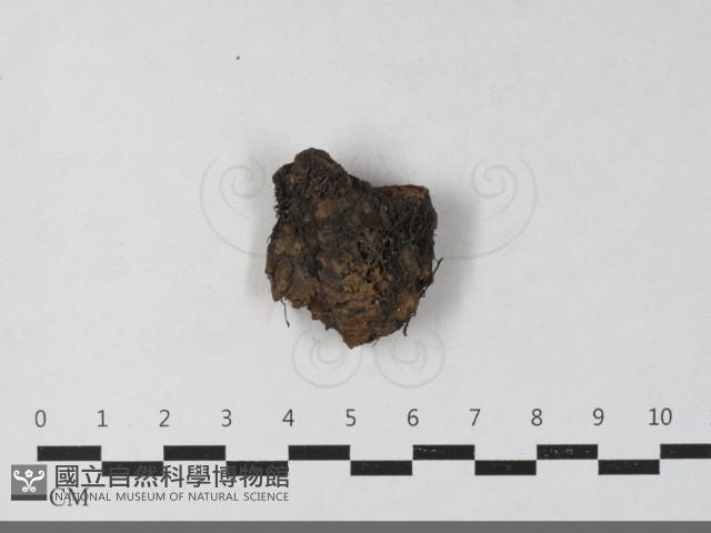 登錄號:F0033476藏品圖，第1張