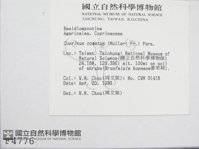 登錄號:F0004776藏品圖，第3張