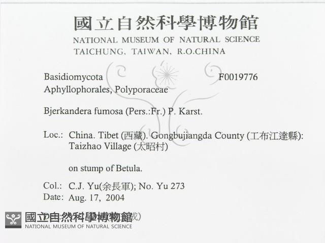 登錄號:F0019776藏品圖，第3張