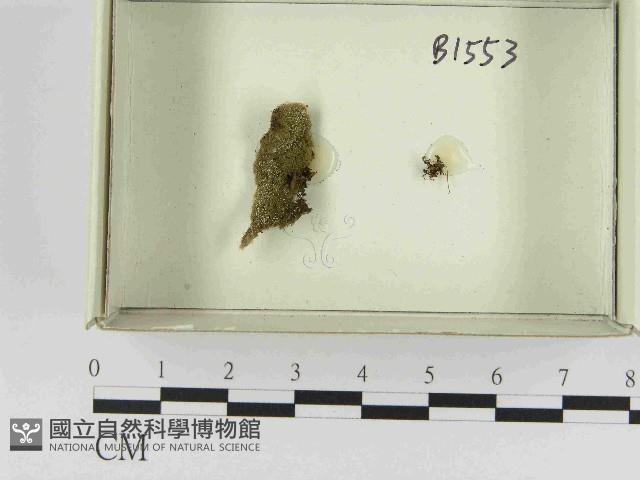 登錄號:F0021576藏品圖，第1張