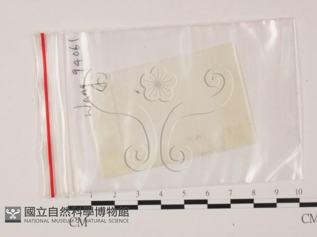 登錄號:F0002576藏品圖，第1張