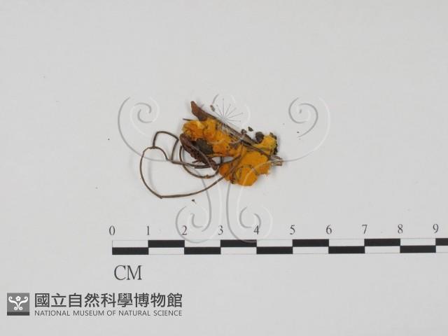 登錄號:F0020176藏品圖，第1張